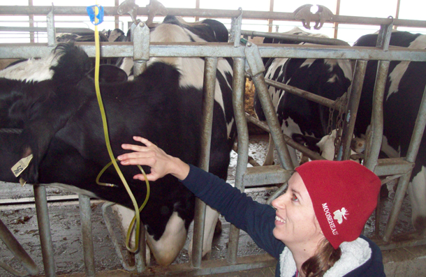 Bovine Clinical Services